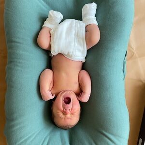 Snuggle Me Organic Infant Lounger with Moss Cover